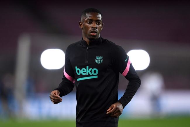 冷冻鲜果干 冷冻鲜果干