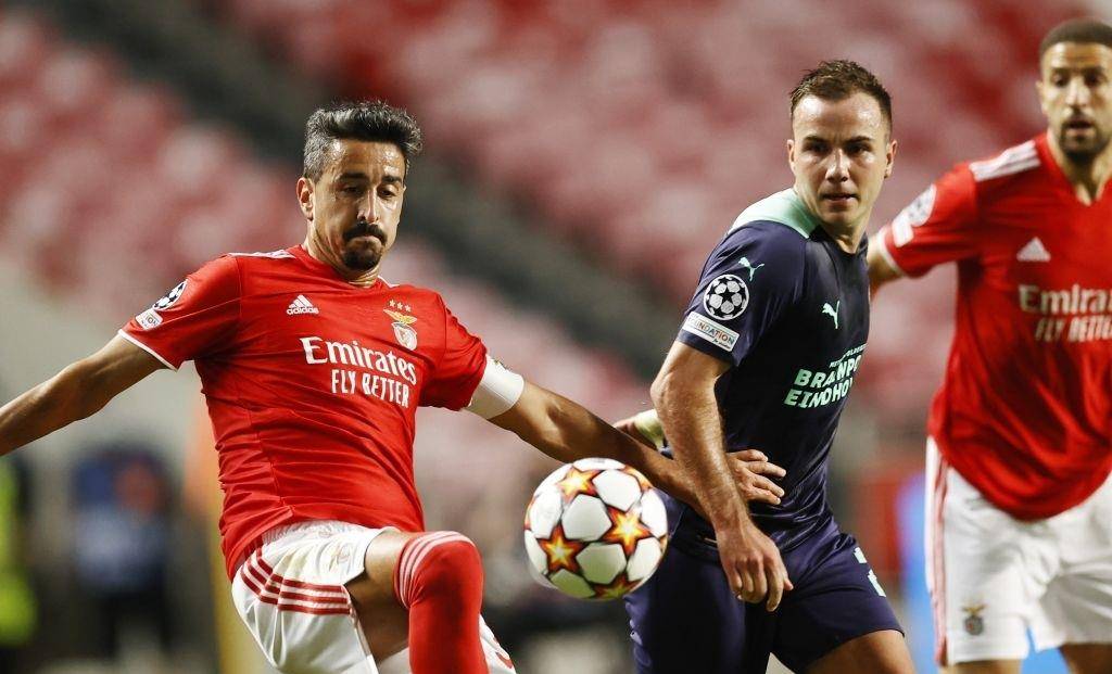 马的后防储 马的后防储