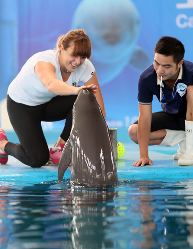 主打思路 主打思路