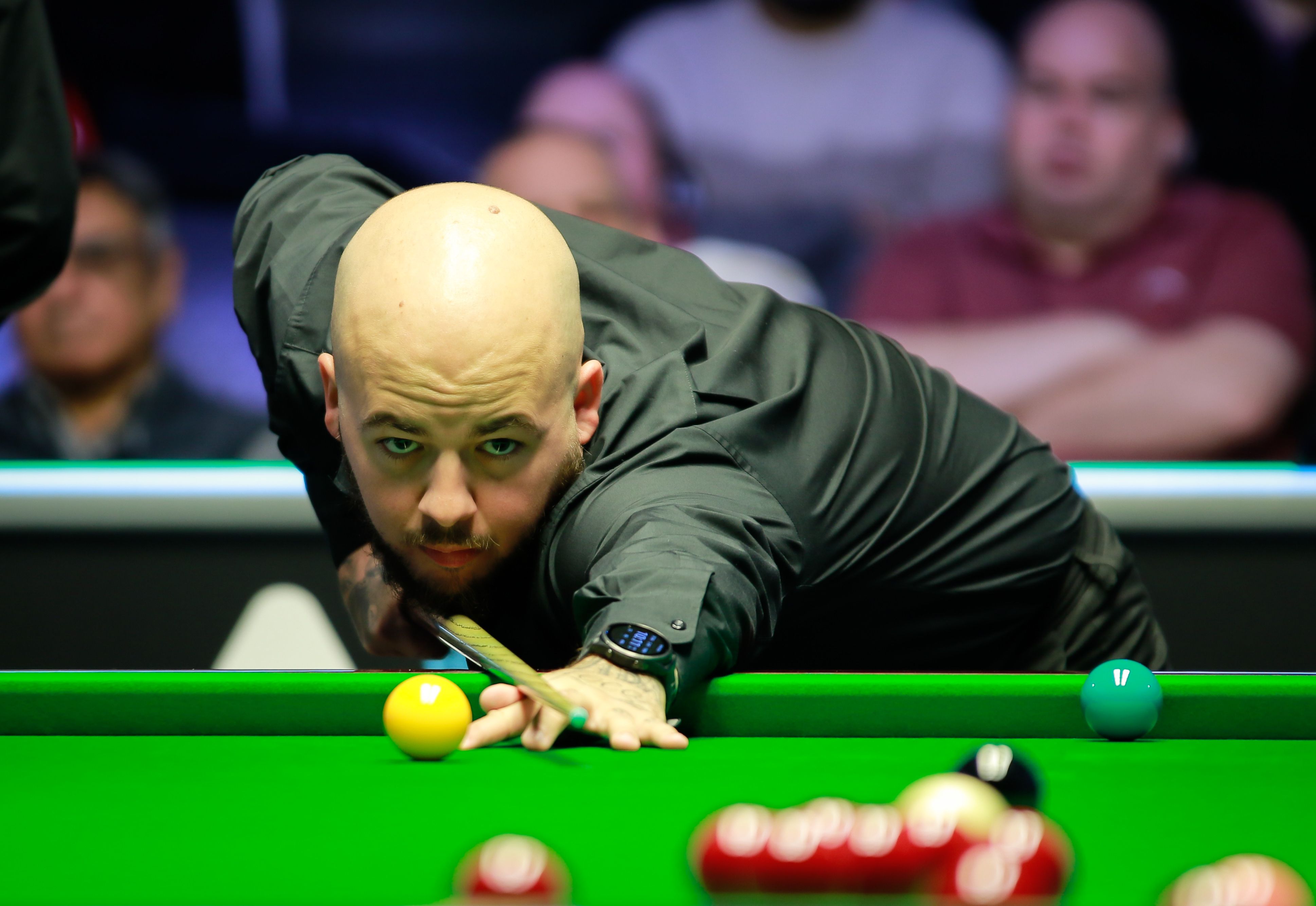 热情持续升 热情持续升